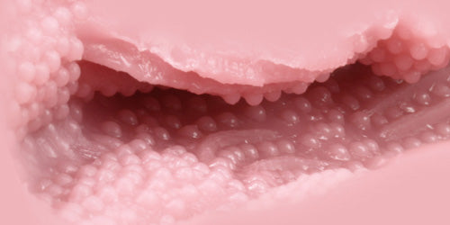 大魔王 Venus Clone(Soft) 名器 Tomax 大魔王